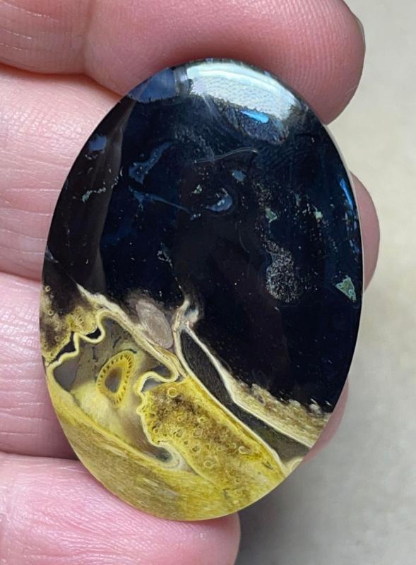 Oval 40x28mm Coloured Palm Root Cabochon 19
