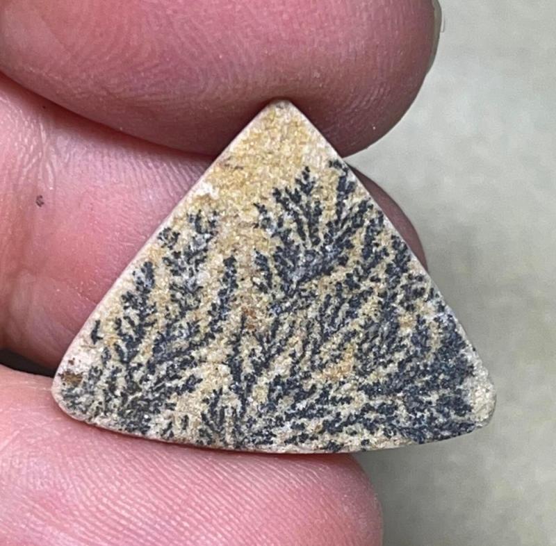 Teardrop 19x24mm Psilomelane Dendrite Cabochon 28