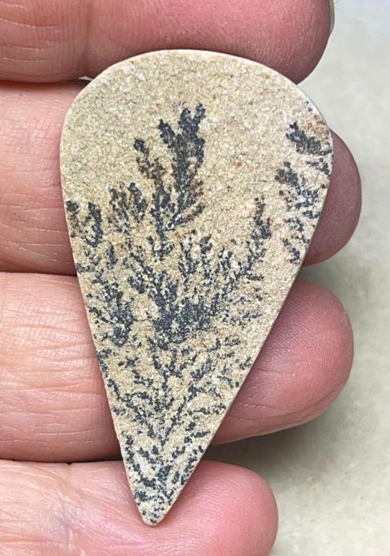 Teardrop 46x26mm Psilomelane Dendrite Cabochon 31