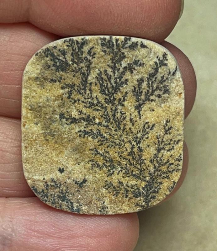 Rectangle 29x26mm Psilomelane Dendrite Cabochon 32