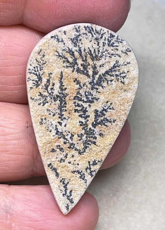 Teardrop 44x25mm Psilomelane Dendrite Cabochon 34