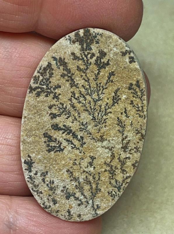 Oval 43x28mm Psilomelane Dendrite Cabochon 45