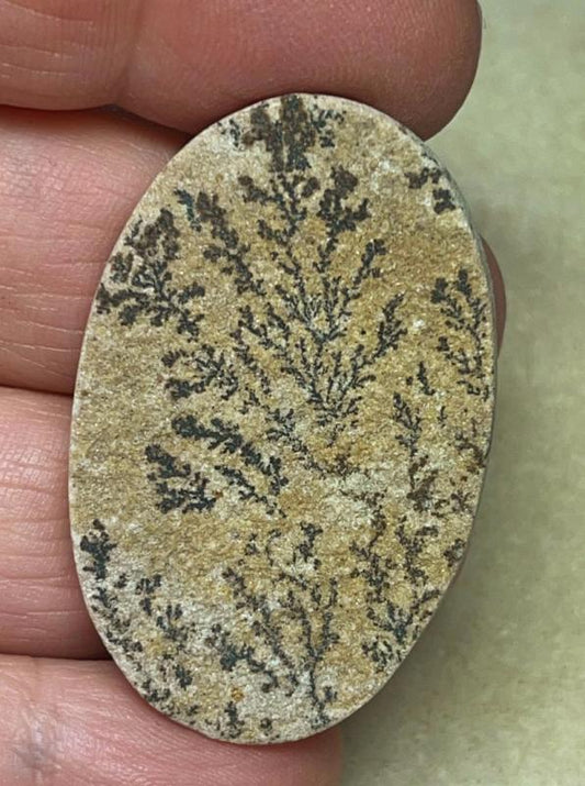 Oval 43x28mm Psilomelane Dendrite Cabochon 45