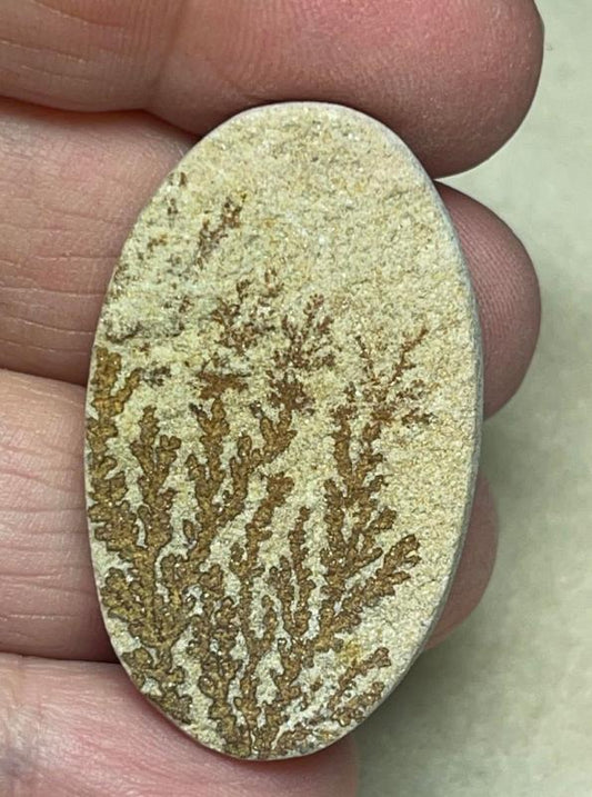 Oval 39x23mm Psilomelane Dendrite Cabochon 46
