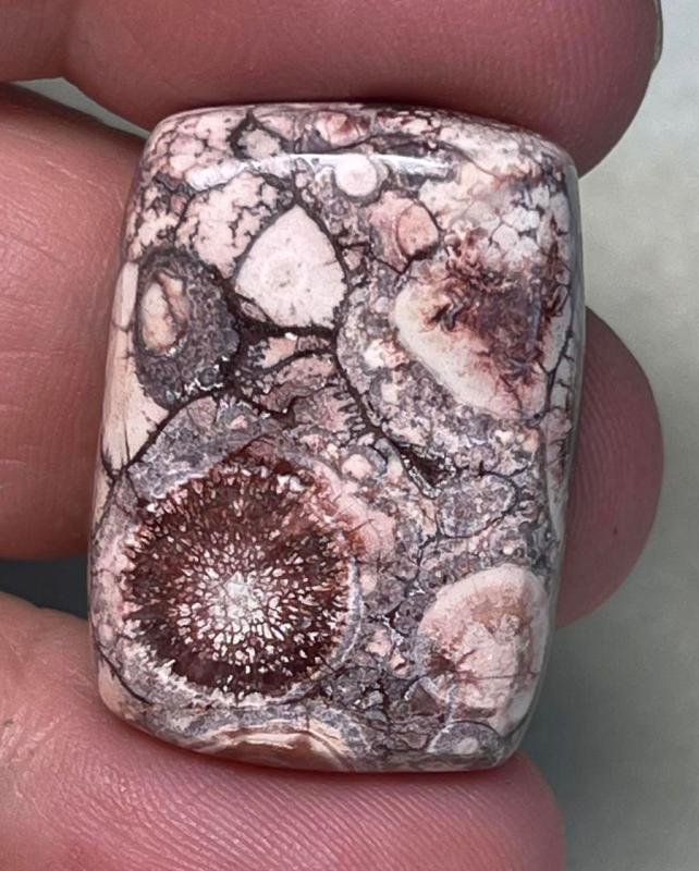 Rectangle 28x19mm Birds Eye Jasper Cabochon 11