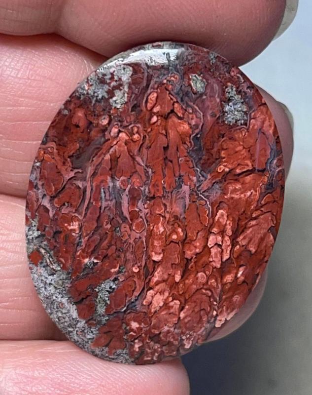 Oval 35x27mm Indonesian Palm Root Cabochon 32