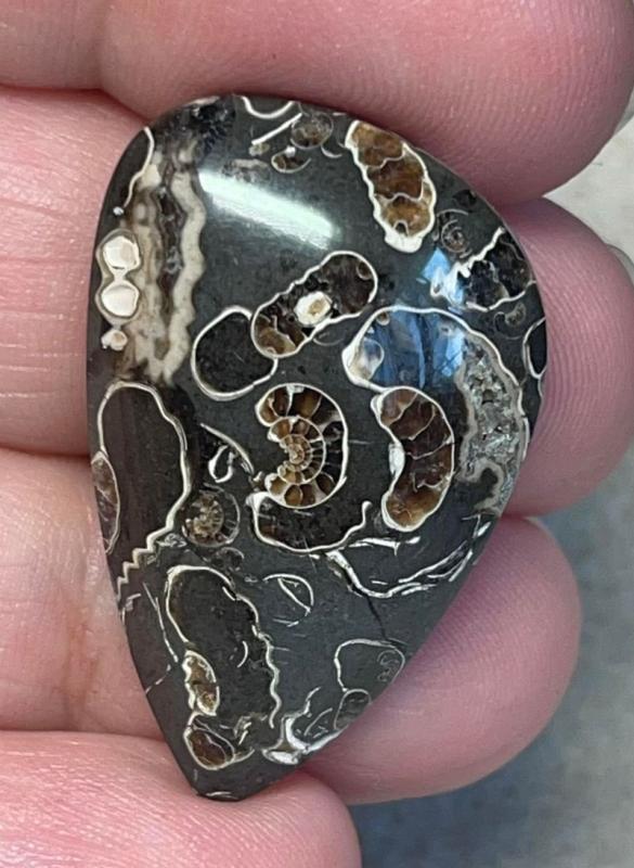 Freeform 33x21mm Marston Marble Cabochon 01