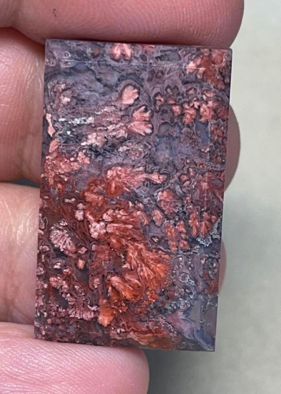 Rectangle 33x19mm Faceted Indonesian Plume Agate Cabochon 59