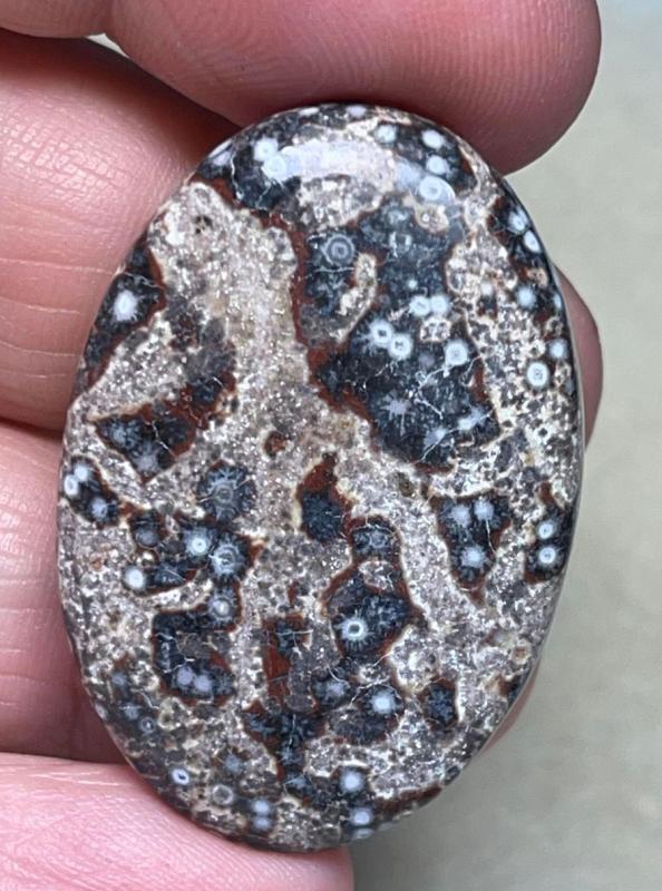 Oval 38x26mm Viper Jasper Cabochon 23