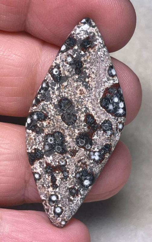 Freeform 47x21mm Viper Jasper Cabochon 24