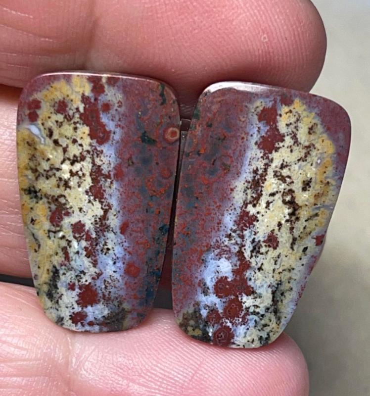 Freeform 25x15mm Bloodstone Cabochon Pair 09