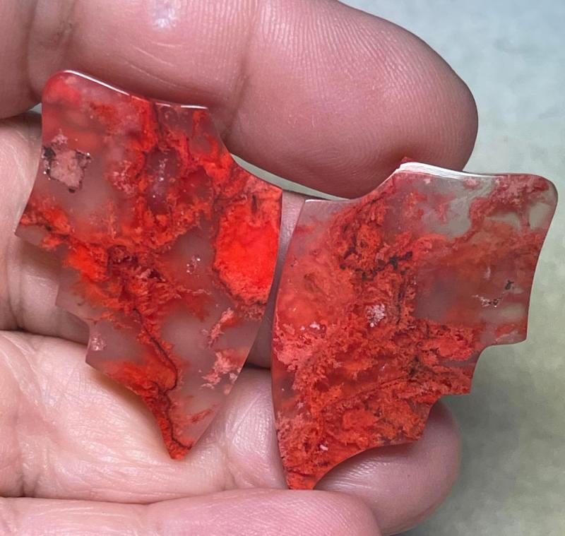 Wing 38x24mm Colour Enhanced Plume Agate Cabochon Pair 16