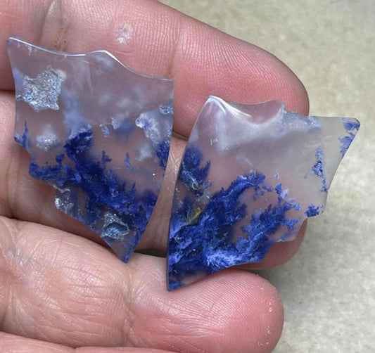 Wing 39x25mm Colour Enhanced Plume Agate Cabochon Pair 18