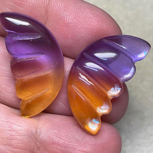 Wing 30x15mm Glass Cabochon Pair 06