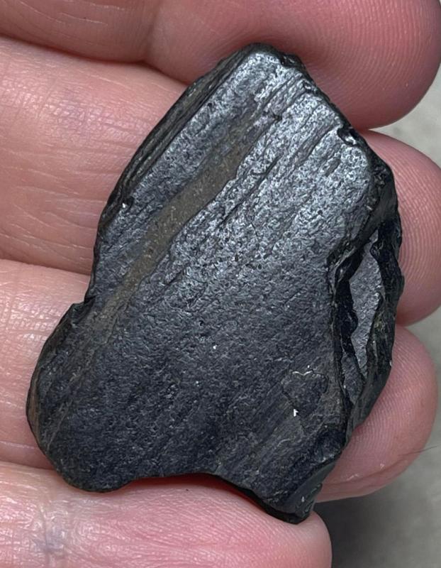 Freeform 38x26mm Raw Whitby Jet Specimen 05