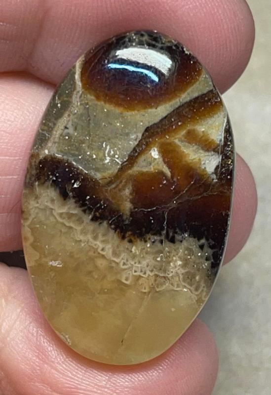 Oval 35x22mm Septarian Cabochon 19