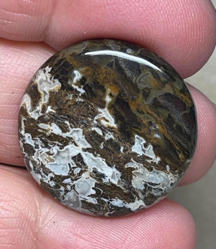 Round 26x26mm Snake Jasper Cabochon 05