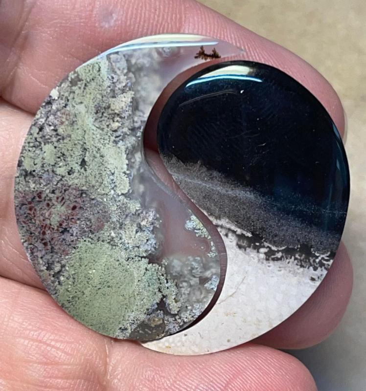 Yin Yang 34x21mm Palm Root and Plume Agate Cabochon Pair 10