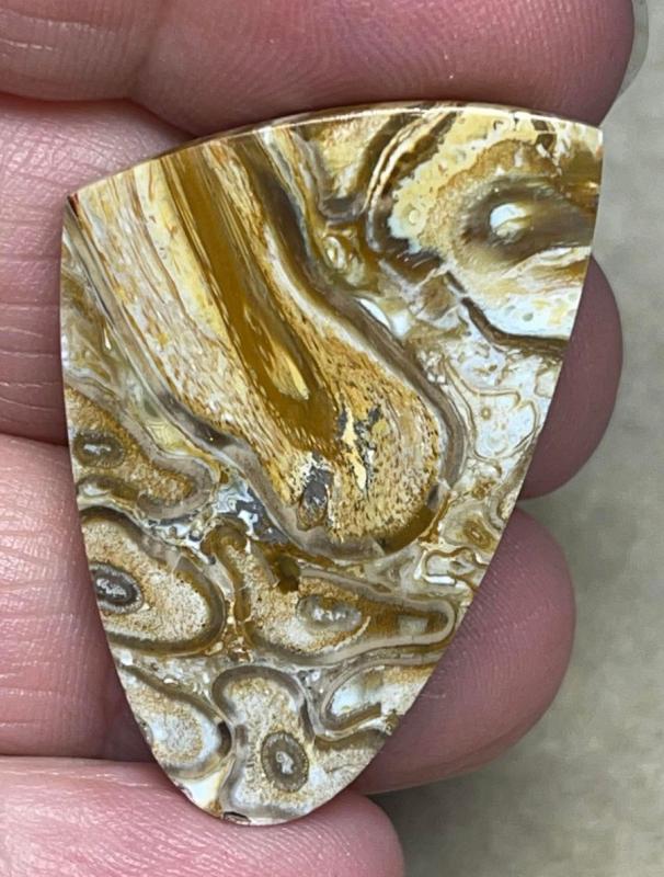 Freeform 38x25mm Agatised Palm Root Cabochon 38