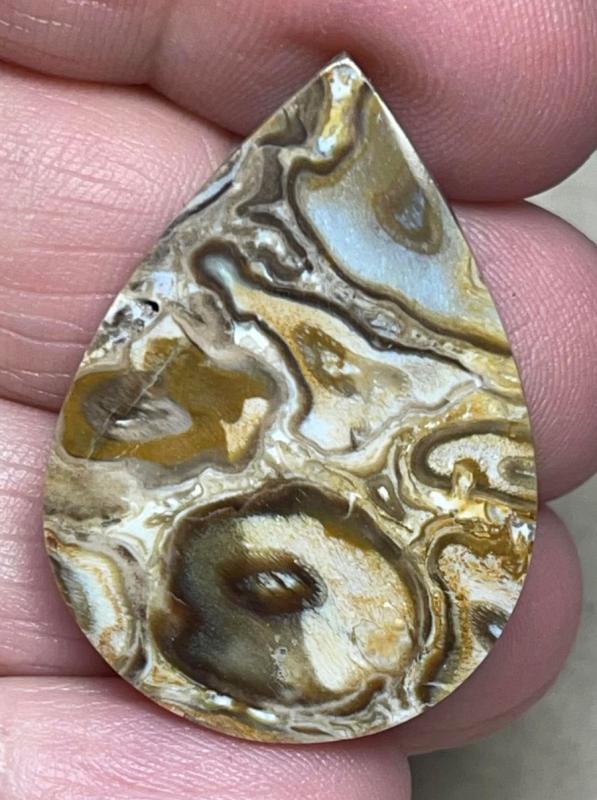 Teardrop 34x24mm Agatised Palm Root Cabochon 39