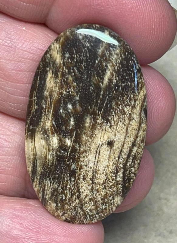 Oval 38x22mm Indonesian Petrified Wood Cabochon 02