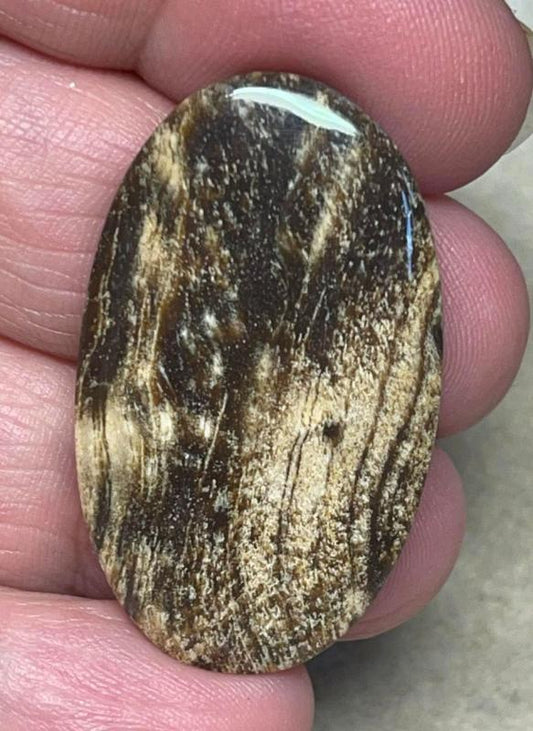 Oval 38x22mm Indonesian Petrified Wood Cabochon 02