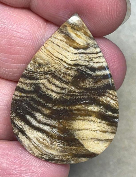 Teardrop 39x27mm Indonesian Petrified Wood Cabochon 16