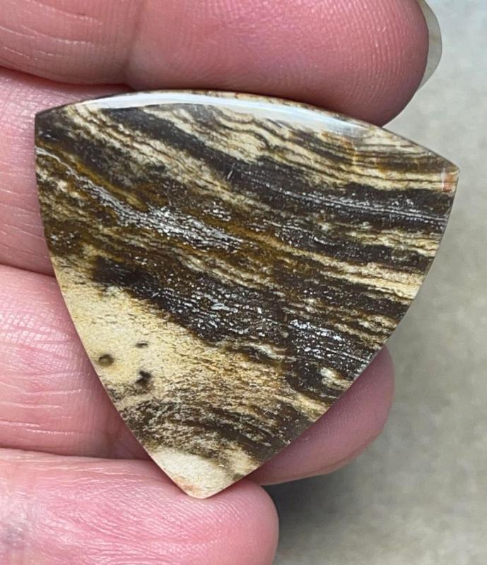 Freeform 34x34mm Indonesian Petrified Wood Cabochon 24