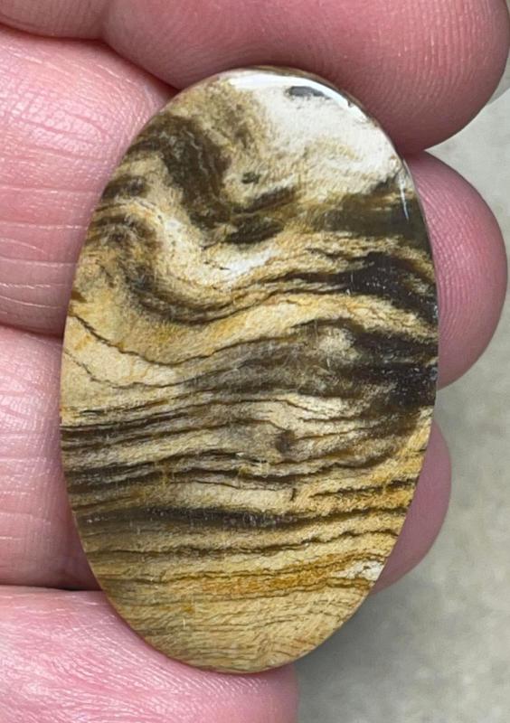 Oval 38x23mm Indonesian Petrified Wood Cabochon 33