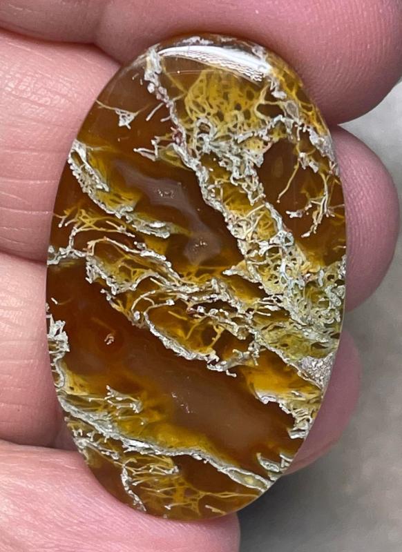 Oval 38x23mm Natural Lichen Moss Agate Cabochon 03
