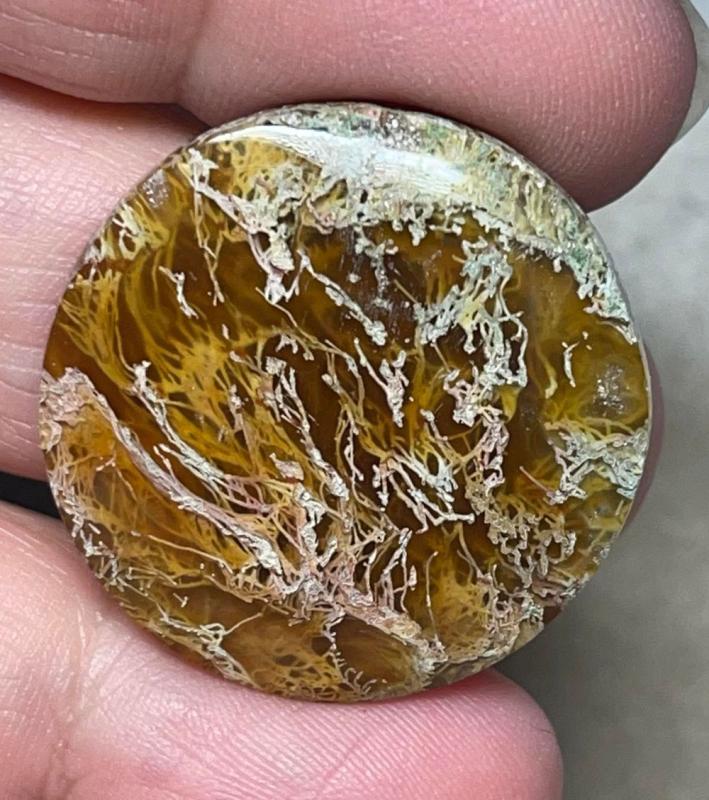 Round 29x29mm Natural Lichen Moss Agate Cabochon 04