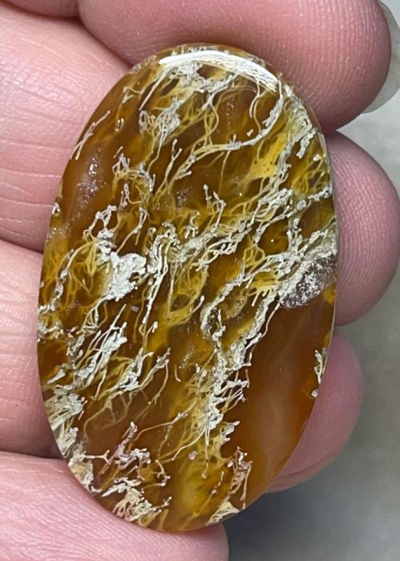 Oval 38x22mm Natural Lichen Moss Agate Cabochon 19