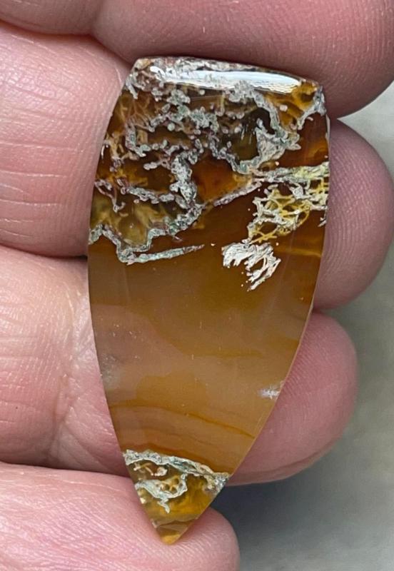 Freeform 37x18mm Natural Lichen Moss Agate Cabochon 25