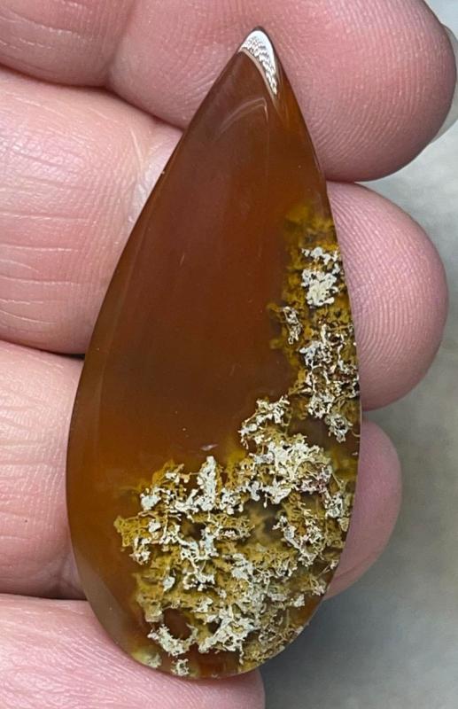 Teardrop 45x20mm Natural Lichen Moss Agate Cabochon 27