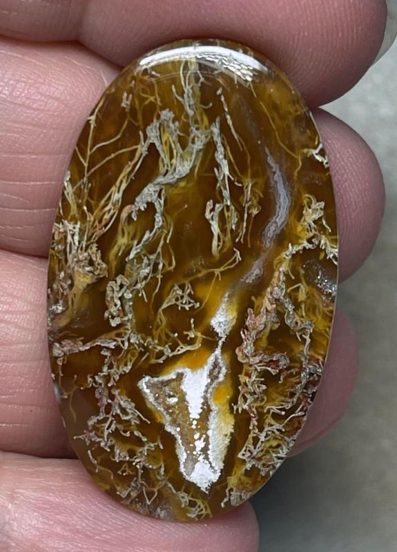 Oval 39x23mm Natural Lichen Moss Agate Cabochon 28