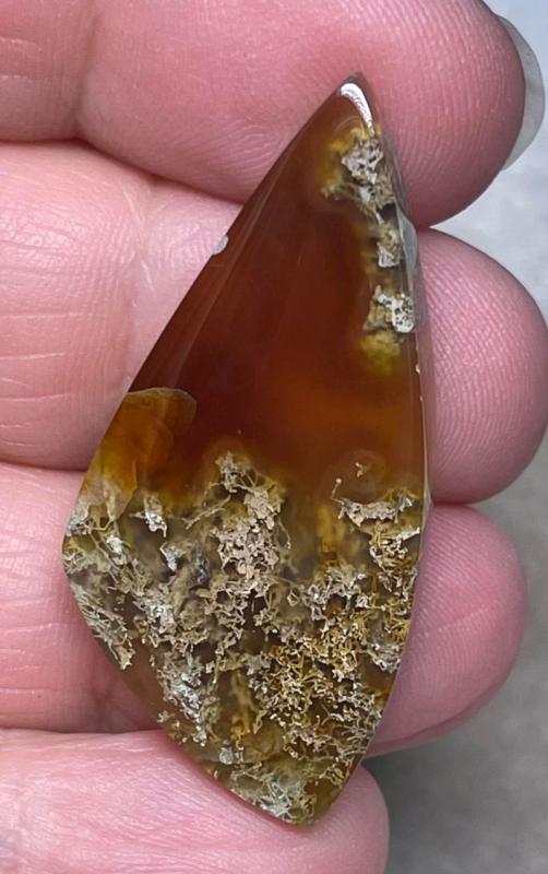 Freeform 41x19mm Natural Lichen Moss Agate Cabochon 32