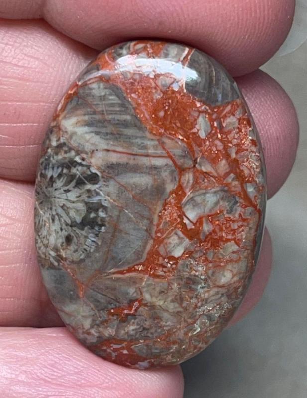 Oval 34x23mm Money Agate Cabochon 08