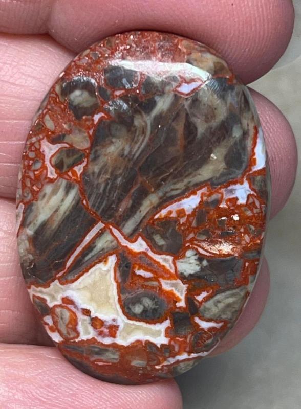 Oval 37x26mm Money Agate Cabochon 12