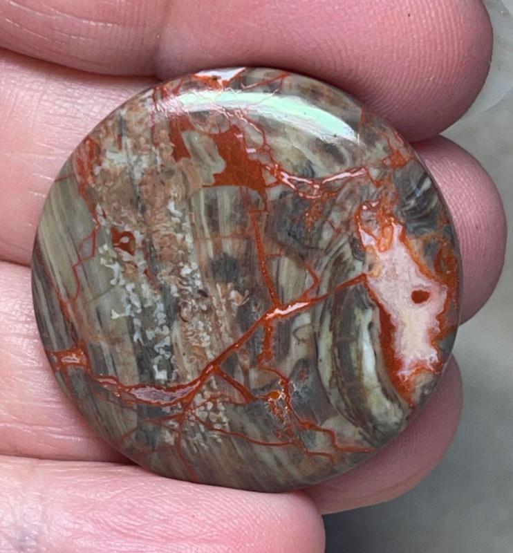 Round 32x32mm Money Agate Cabochon 23