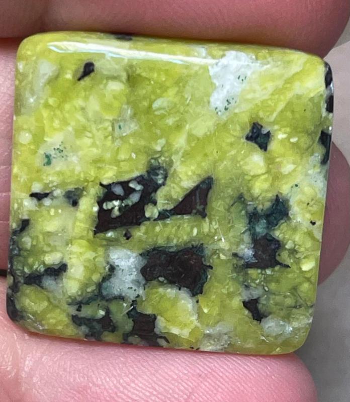 Square 25x25mm Lizardite Cabochon 20
