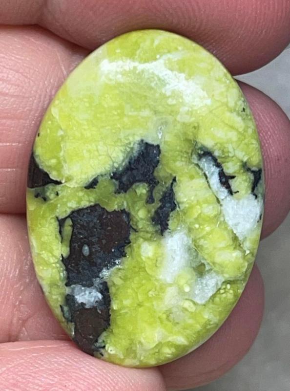 Oval 31x22mm Lizardite Cabochon 22