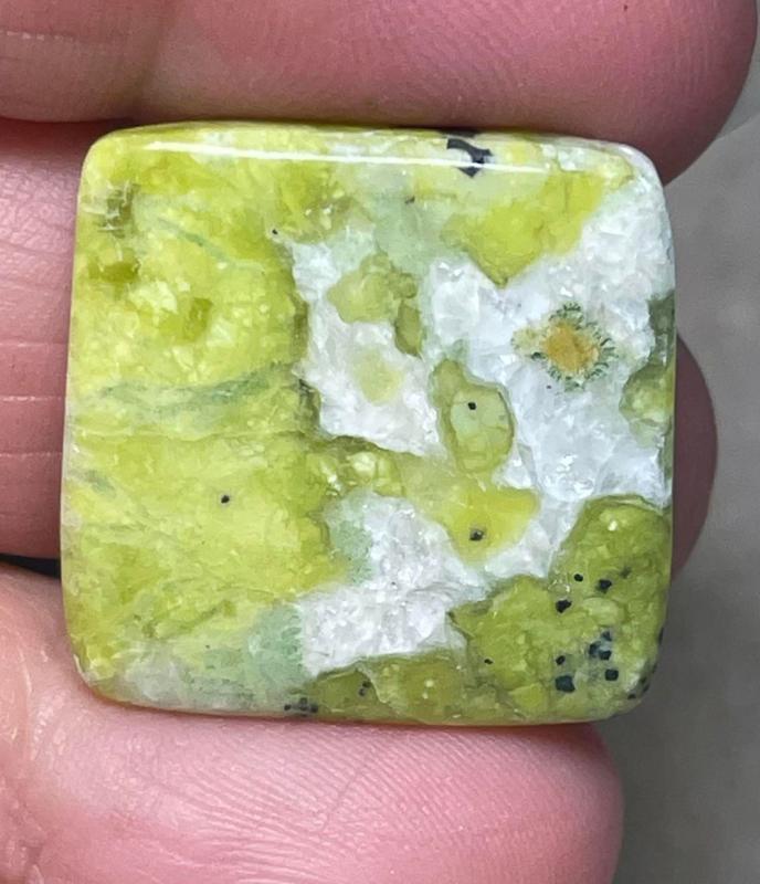 Square 24x24mm Lizardite Cabochon 23
