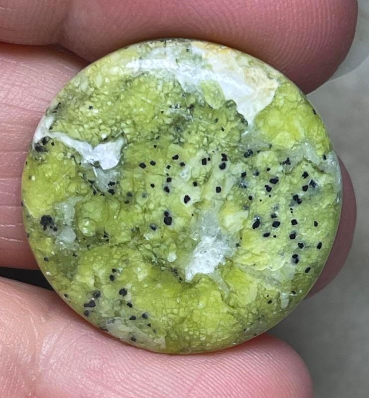Round 27x27mm Lizardite Cabochon 30