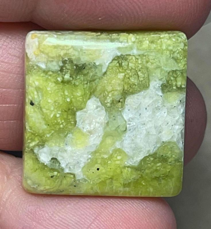Square 23x22mm Lizardite Cabochon 33