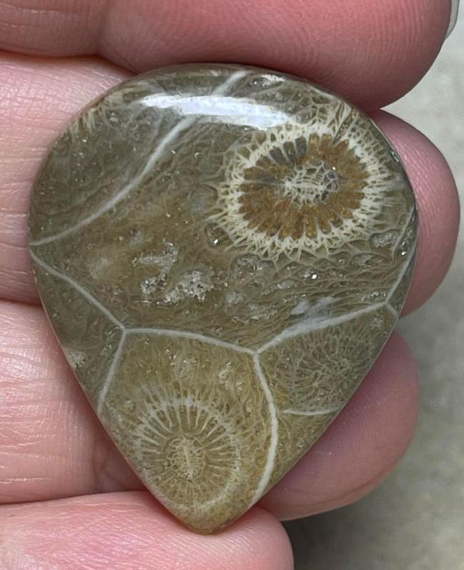 Teardrop 33x27mm Moroccan Fossil Coral Cabochon 09