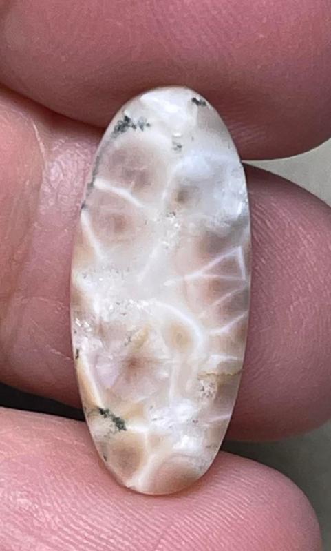 Oval 24x10mm Natrolite Cabochon 12