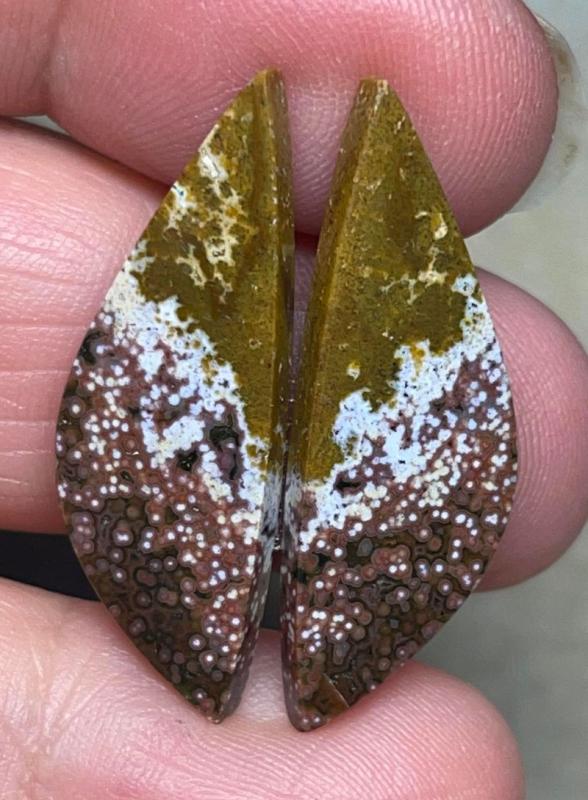 Freeform 31x10mm Ocean Jasper Cabochon Pair 02