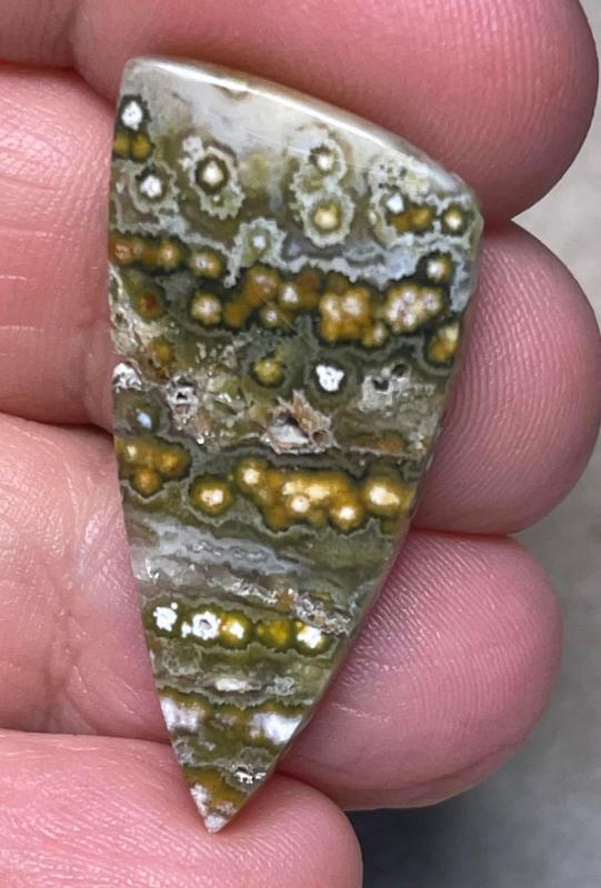 Freeform 35x17mm Ocean Jasper Cabochon 50