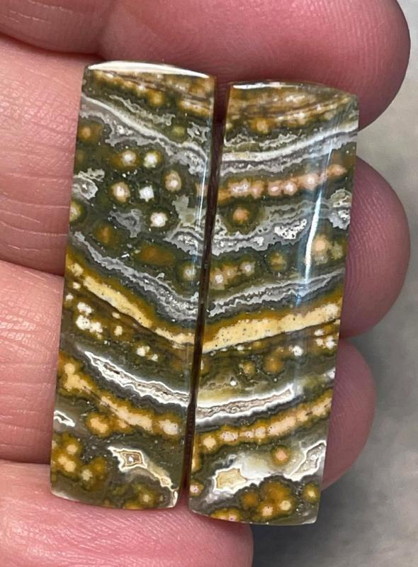 Rectangle 34x10mm Ocean Jasper Cabochon Pair 11