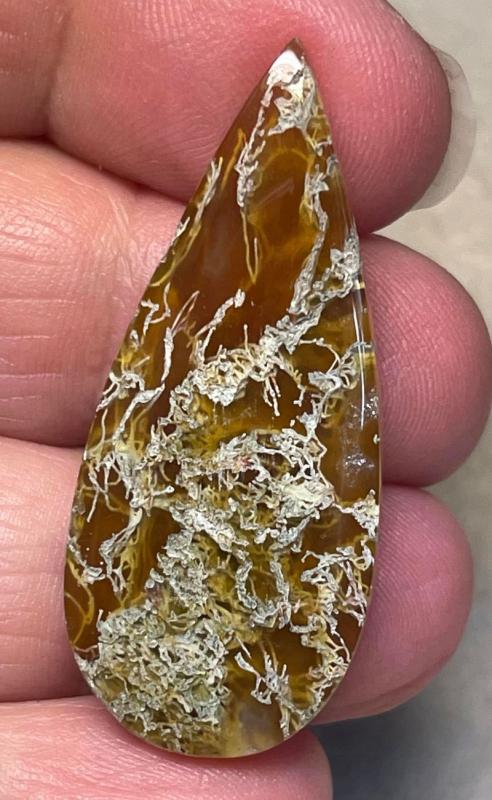 Teardrop 42x18mm Natural Lichen Moss Agate Cabochon 37